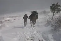Bild: Mit Pferd, Hund und Katz - 9000 km von Portugal in die Türkei