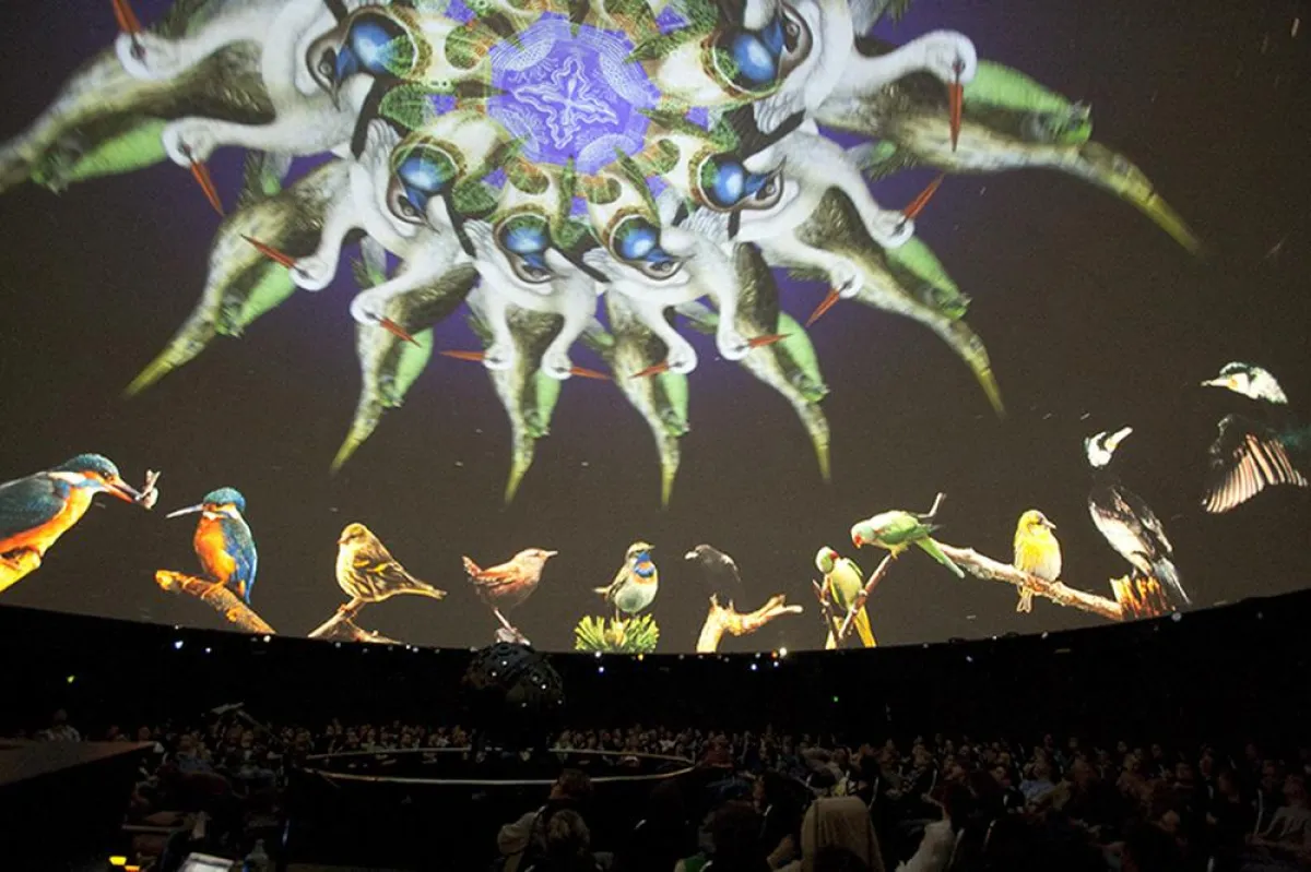 VOM BIG BANG ZU BAMBI, Planetarium Mannheim, 2010, Foto: PXNG.LI GmbH