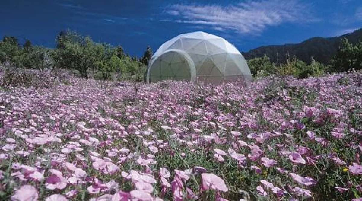 Die ZENDOME.20 Home-Edition