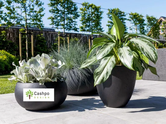 Stilvolle und elegante Pflanzgefäße in Anthrazit Bild: Stilvolle und elegante Pflanzgefäße in Anthrazit