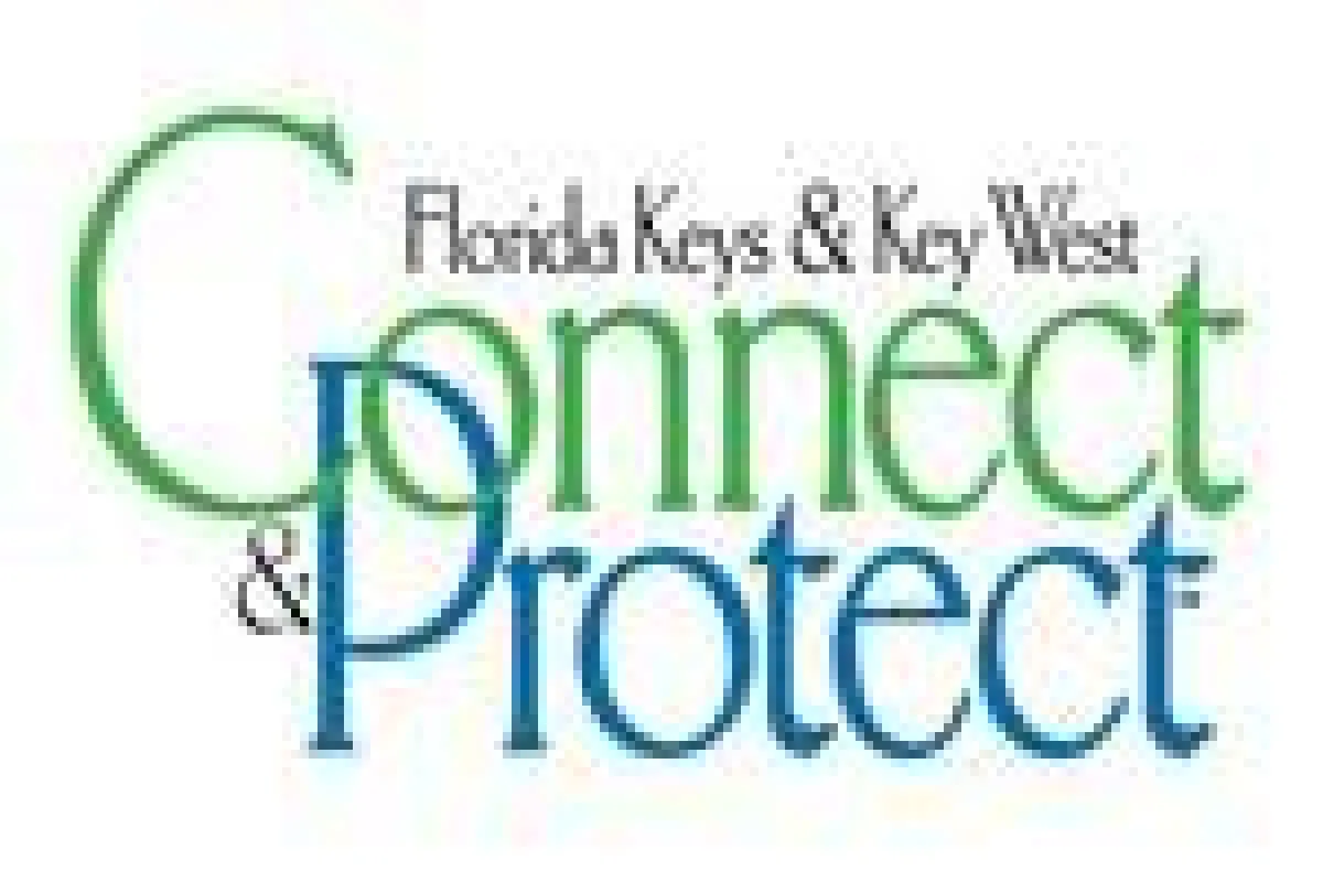 Connect & Protect Logo