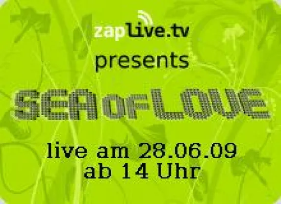 Bild: Das Summerhappening - Sea of Love 2009 live im Internet