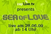 Bild: Das Summerhappening - Sea of Love 2009 live im Internet
