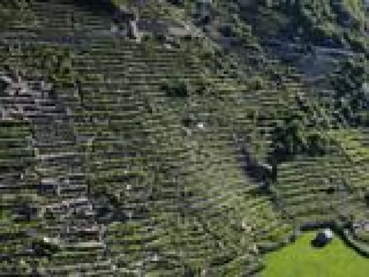 Vins extremes © Turismo Valle d' Aosta