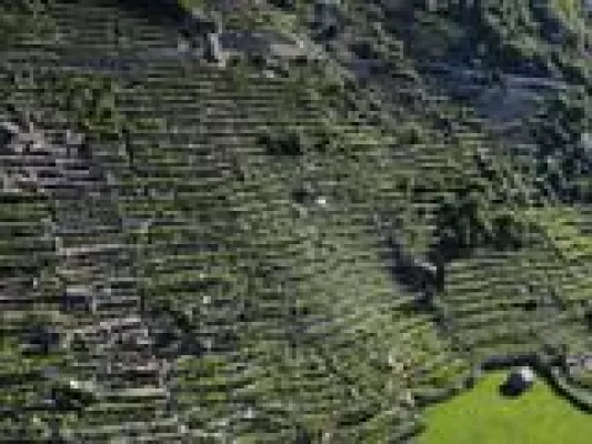 Bild: Extremer Wein auf hohen Bergen