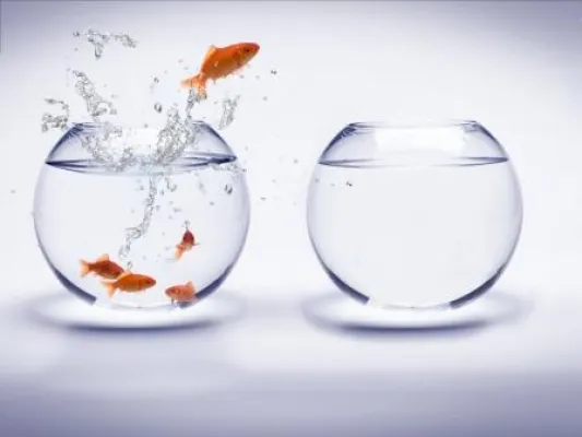 Vertrauenskrise: Über 250 Banker wechselten 2012 zu unabhängigen Vermögensverwaltern Bild: Vertrauenskrise: Über 250 Banker wechselten 2012 zu unabhängigen Vermögensverwaltern