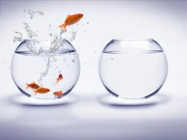 Bild: Vertrauenskrise: Über 250 Banker wechselten 2012 zu unabhängigen Vermögensverwaltern