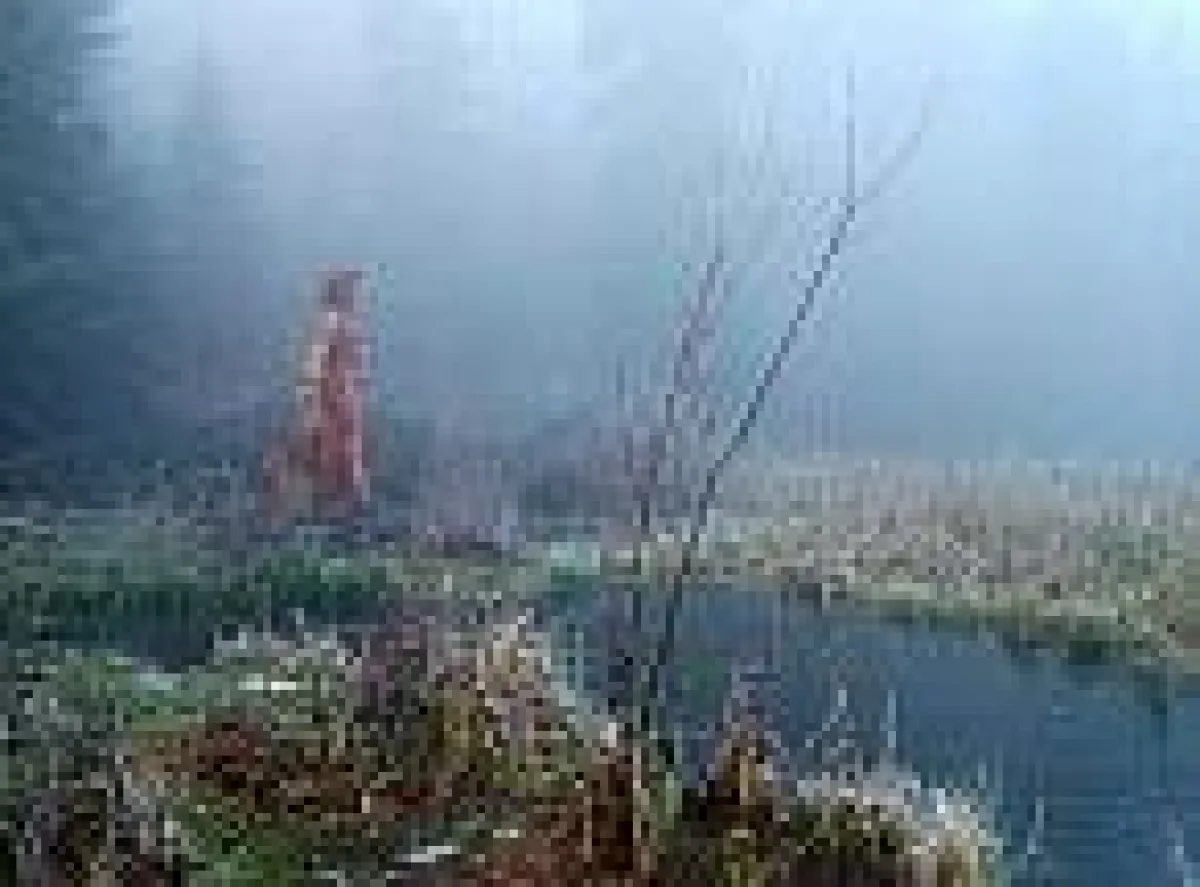 Frau Holle am Frau-Holle Teich im Hohen Meißner