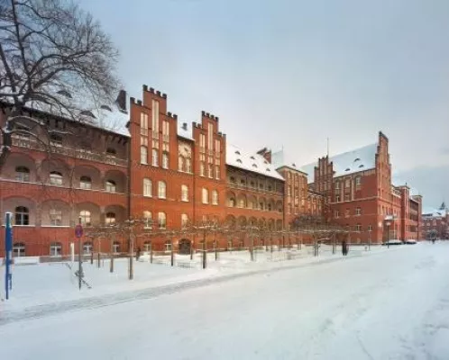 Bild: Renovierungsarbeiten an der Charitée