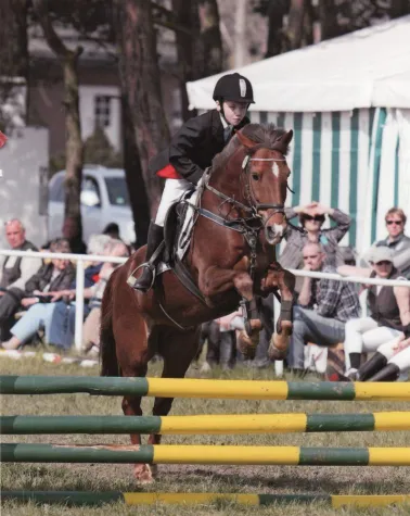 Bild: 6. Oldenburger Fohlenschau in Buch