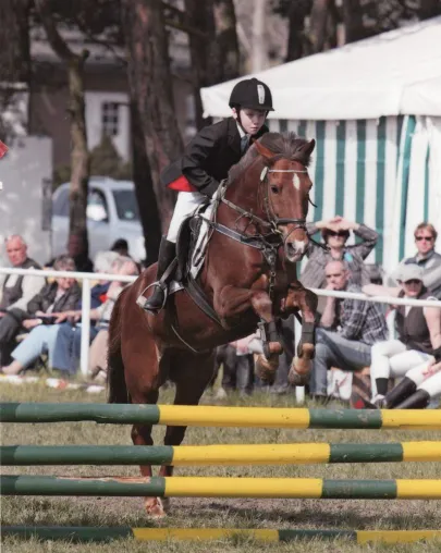 Bild: 6. Oldenburger Fohlenschau in Buch