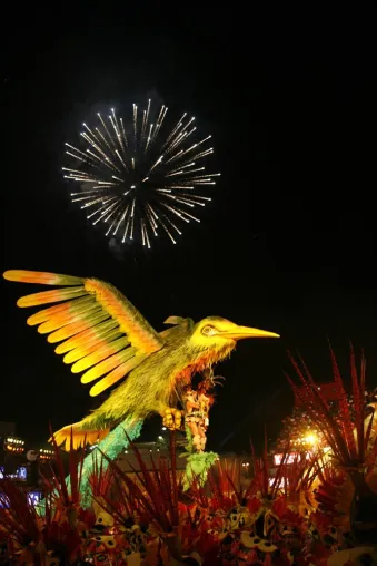 Bild: Rauschendes Fest der Farben und Sinne - Zum Bumba-meu-boi Festival nach Brasilien