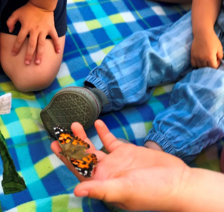 Von der Raupe zum Distelfalter - Kinder beobachten und lernen im NBH-Kinderpark.