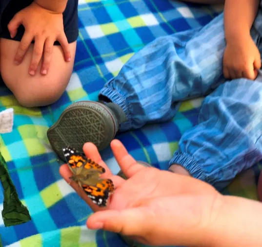 Bild: Mission Schmetterling im NBH-Kinderpark