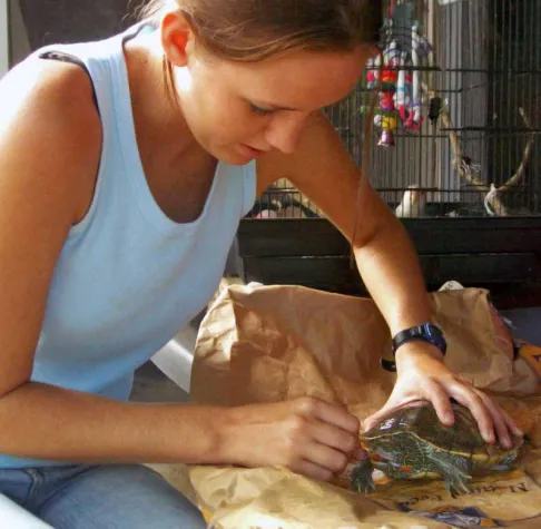 Bild: Freiwilligenarbeit im Paradies