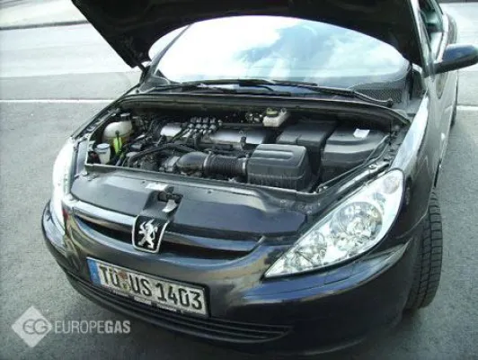 Bild: Deutsche Autofahrer tragen massiv zum Klimawandel durch CO2-Ausstoß bei - Alternative Treibstoffe wie Flüssiggas bieten kostengünstigsten Ausweg