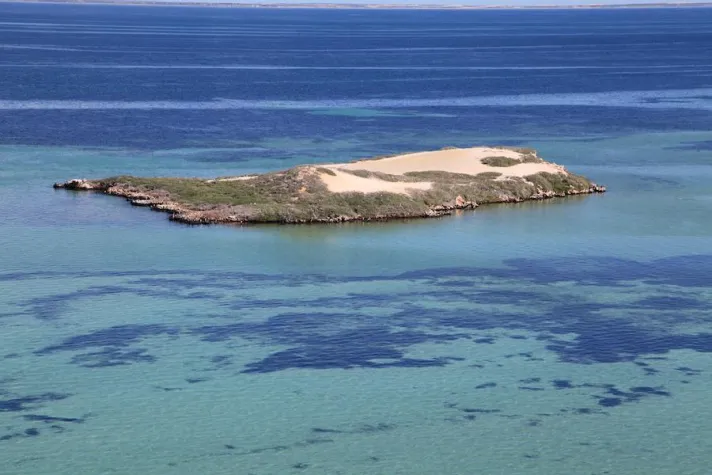 Bild: Week4Climate Tag 1 am 21.09.2019 !