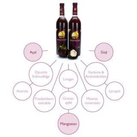 Bild: Superfrucht Açai jetzt auch in MANGOSTAN GOLD