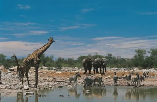 Bild: Abenteuer Afrika: Mit Tour Vital den schwarzen Kontinent entdecken