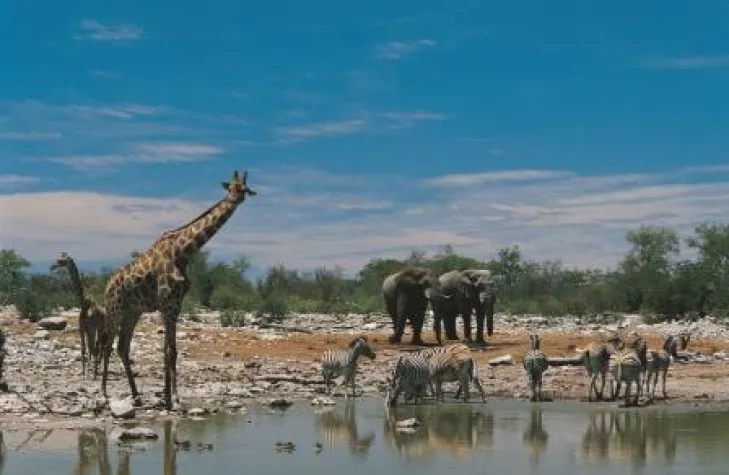 Bild: Abenteuer Afrika: Mit Tour Vital den schwarzen Kontinent entdecken