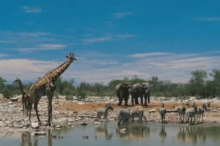 Bild: Abenteuer Afrika: Mit Tour Vital den schwarzen Kontinent entdecken