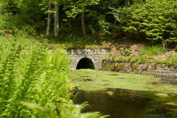 Bild: Unterwegs im UNESCO-Weltkulturerbe "Oberharzer Wasserregal" - eine Fotowanderung auf den Spuren des Bergbaus