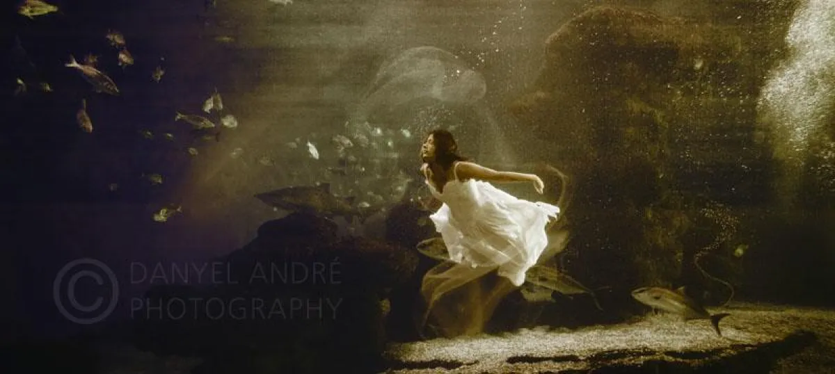 Haifischbraut / Bei nur 19°C posierte das Model mutig zwischen den Haien für ein Trash the Dress Fotoshooting