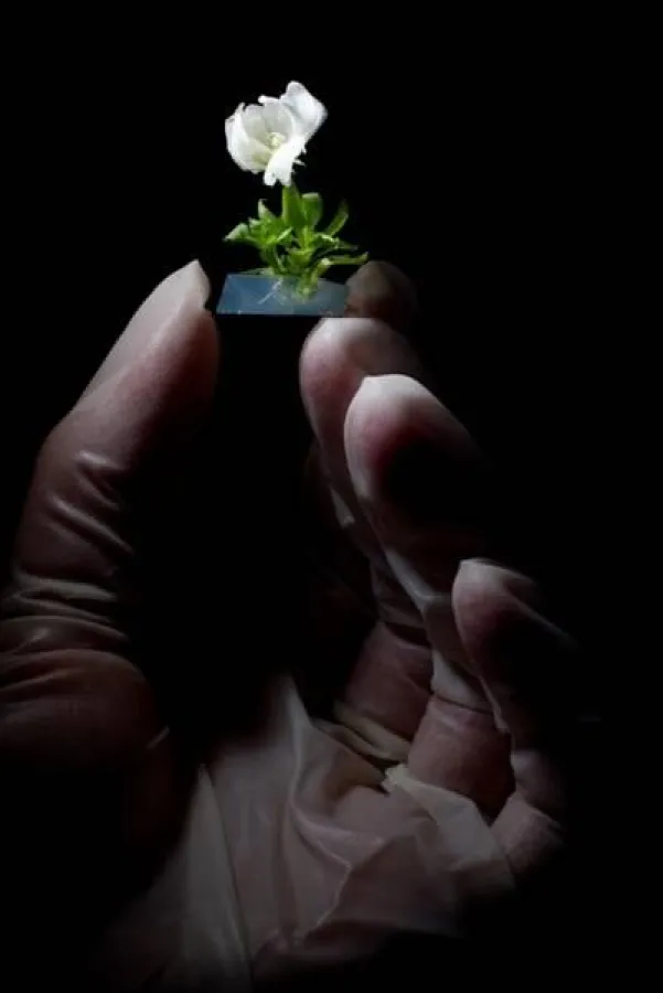 Sven Döring gewann den PUNKT 2009 (Kategorie Foto/Einzelbild) mit seinem Motiv 