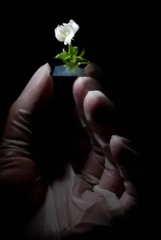 Bild: Preis für Technikjournalismus erneut ausgeschrieben: acatech startet Bewerbungsphase für den PUNKT 2010