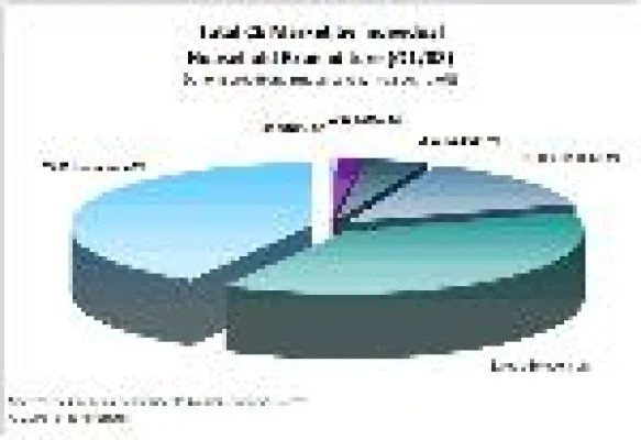 Parks Associates-Studie - 80 Prozent der Einkäufe bei CE-Produkten gehen auf „Super Buyer“ zurück Bild: Parks Associates-Studie - 80 Prozent der Einkäufe bei CE-Produkten gehen auf „Super Buyer“ zurück