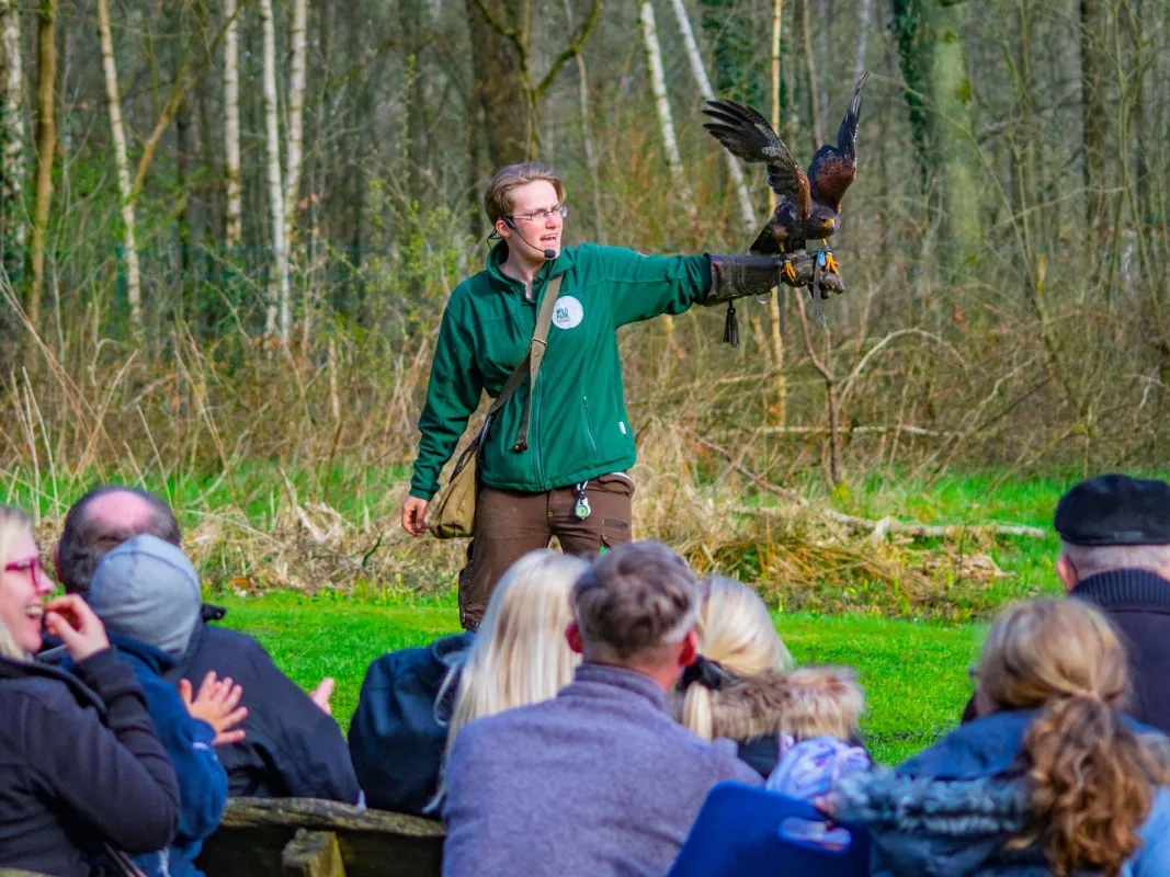 Flugschau im Wildpark Müden