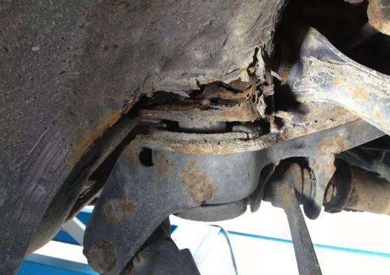 Bild: Wird er das Schwarze Meer sehen?