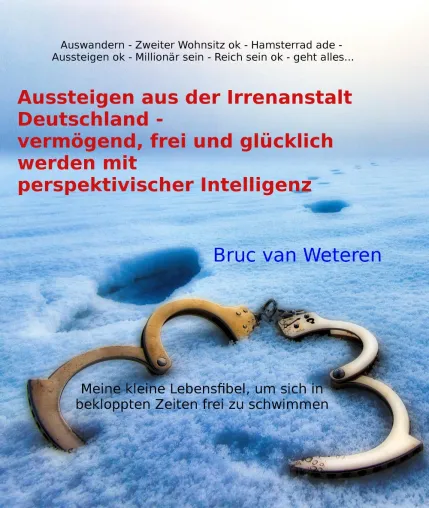 Bild: Raus aus der Irrenanstalt Deutschland mit perspektivischer Intelligenz
