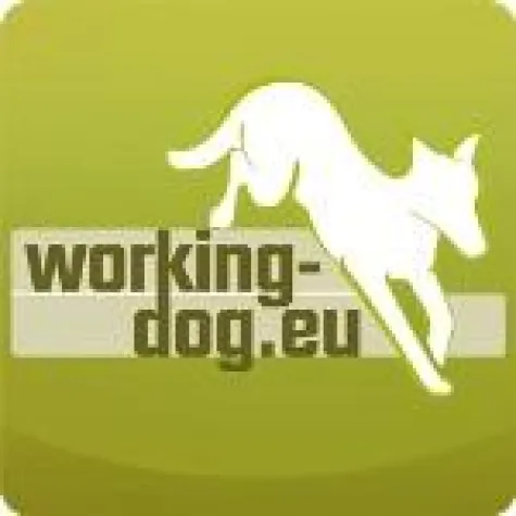 Bild: Hundesportler gehen online - working-dog.eu