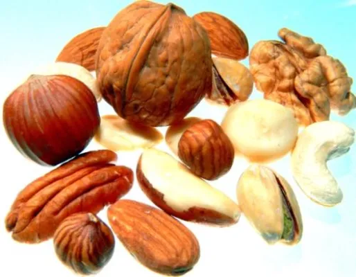 Bild: Nüsse - Geschenke der Natur