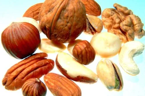 Nüsse - Geschenke der Natur Bild: Nüsse - Geschenke der Natur