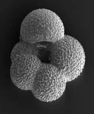 Bild: Bohrende Fragen & tiefschürfende Antworten