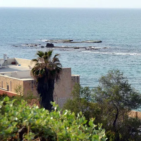 Bild: Andromeda und Jaffa – der Prinz, die Prinzessin und das Ungeheuer