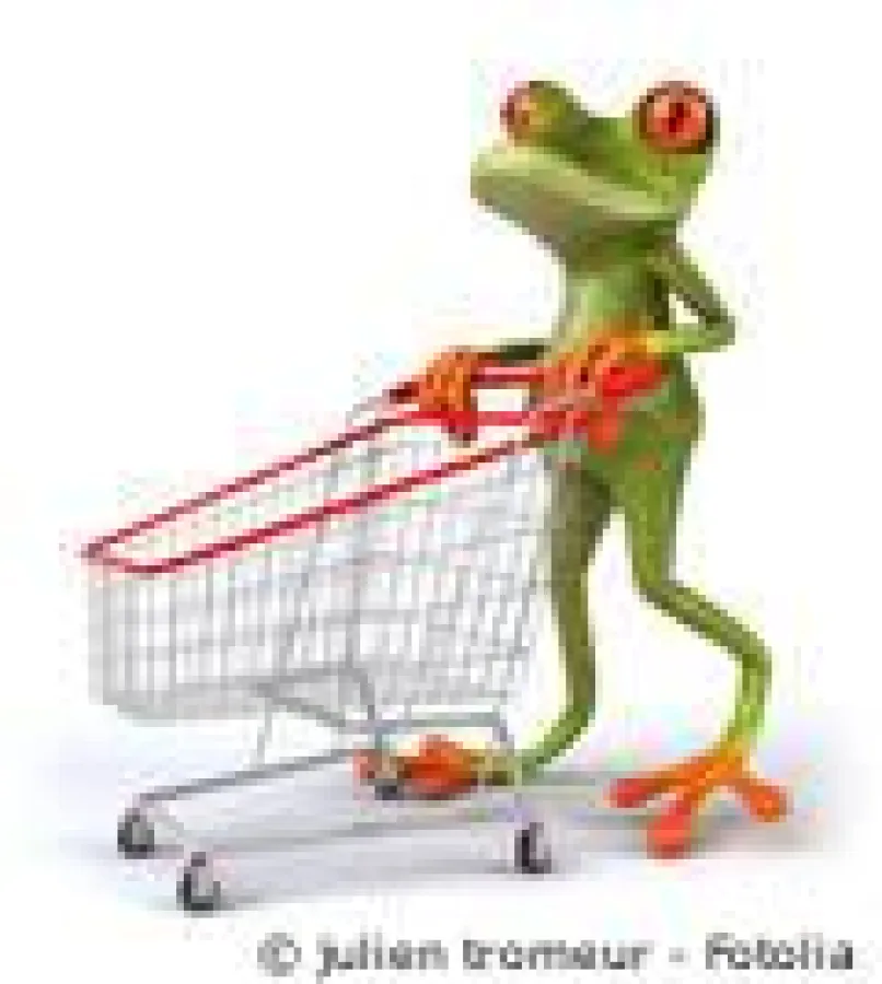 Online-Shop-System mit SEO der Agentur 4Success