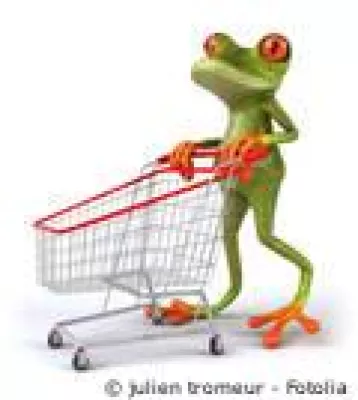 Bild: Online-Shop-Konzept speziell für Einzelhandel