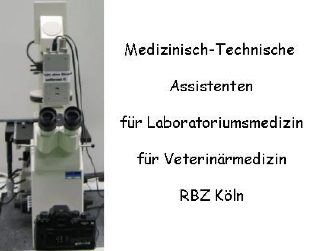 MTA-Schule RBZ Köln (l.w.)