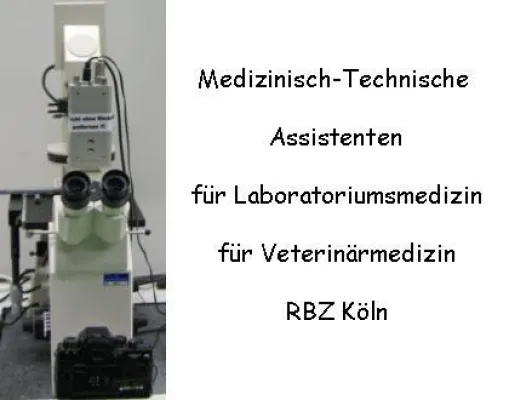 Bild: Biomedizinische Analytik – ein Job für Medizinisch-Technischen Assistenten. Infotage am RBZ Köln.