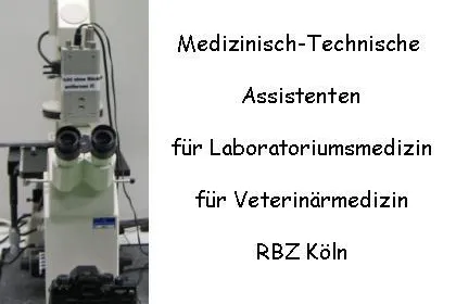 Bild: Biomedizinische Analytik – ein Job für Medizinisch-Technischen Assistenten. Infotage am RBZ Köln.