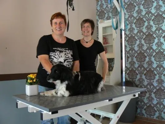 Bild: Ein voller Erfolg - Tag der offenen Tür bei Tiersinn