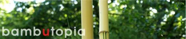 Bild: Ausschreibung Skulpturengarten bambutopia 2011