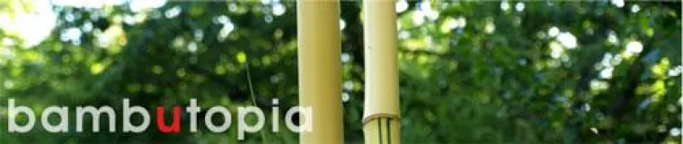 Bild: Ausschreibung Skulpturengarten bambutopia 2011