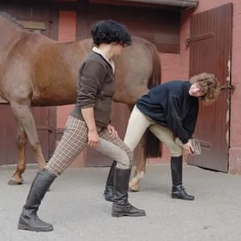 Bild: Medizinische Trainingsberatung bei Rittigkeitsproblemen