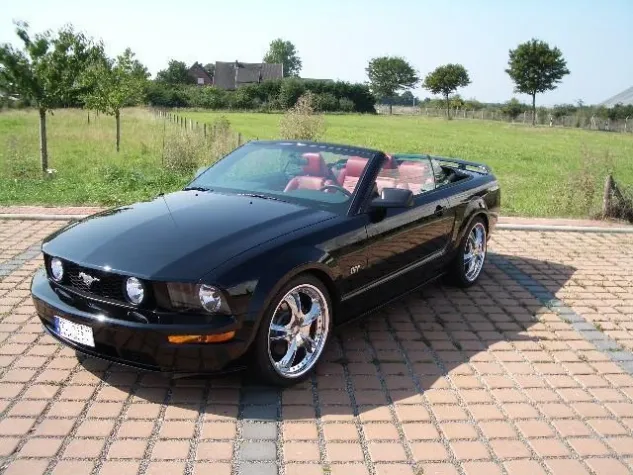 Bild: Mustang Specials bei Uncle Sam\'s Automobile