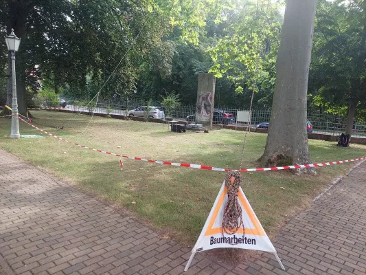 Baumpflege Kasper: Qualifizierte Fachkräfte für Baumgutachten in Berlin Bild: Baumpflege Kasper: Qualifizierte Fachkräfte für Baumgutachten in Berlin