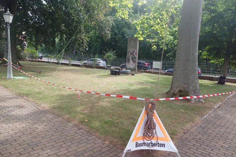 Bild: Baumpflege Kasper: Qualifizierte Fachkräfte für Baumgutachten in Berlin